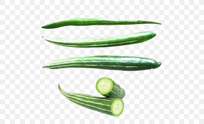 Cucumber Snake Gourd Luffa Vegetable, PNG, 500x500px, Cucumber, Cucumber Gourd And Melon Family, Cucumis, Cucurbitaceae, Food Download Free