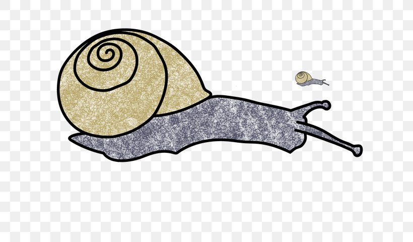 Snail Cartoon, PNG, 640x480px, Snail, Cartoon, Fauna, Fish, Gastropods Download Free