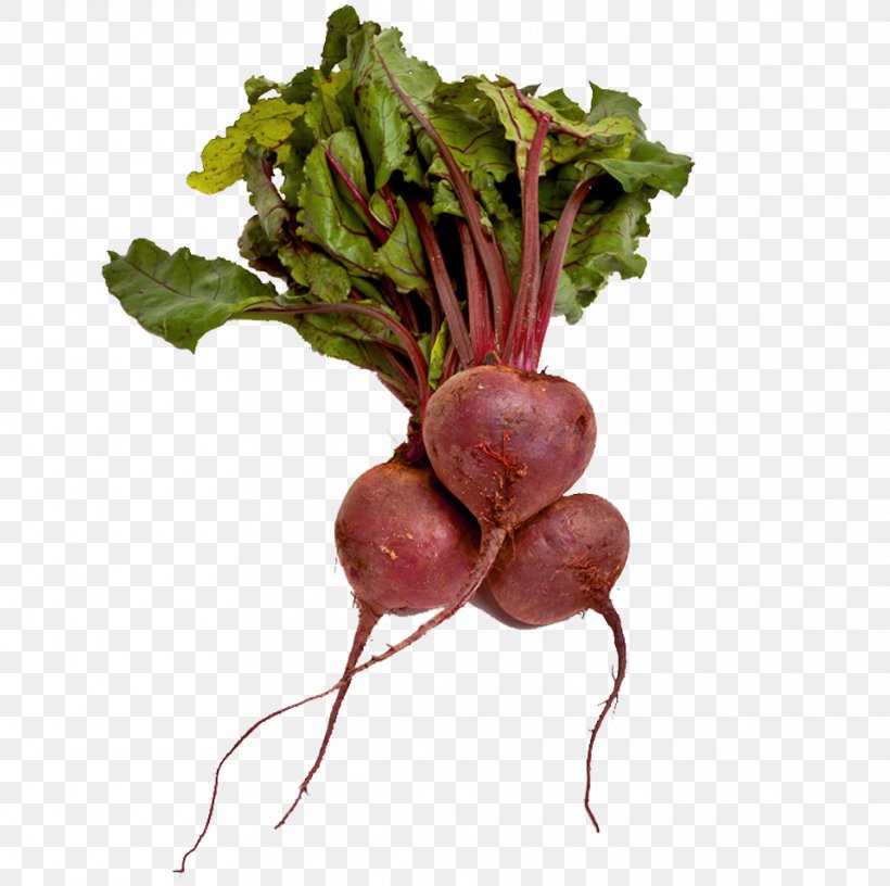 Sugar Beet Beetroot Vegetable Organic Food, PNG, 960x956px, Sugar Beet, Beet, Beetroot, Beta, Borscht Download Free