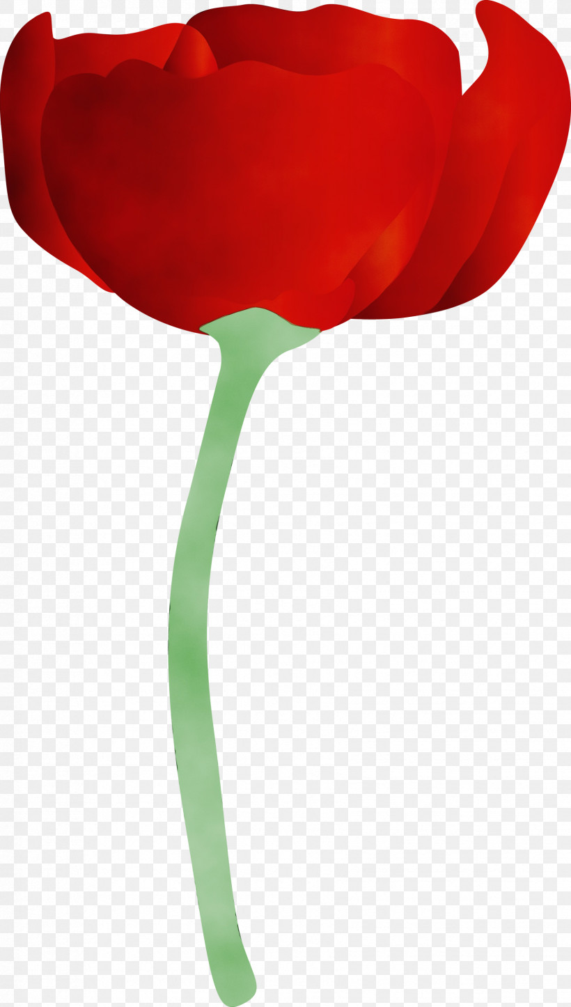 Red Tulip Flower Plant Plant Stem, PNG, 1701x3000px, Watercolor, Coquelicot, Flower, Lily Family, Paint Download Free