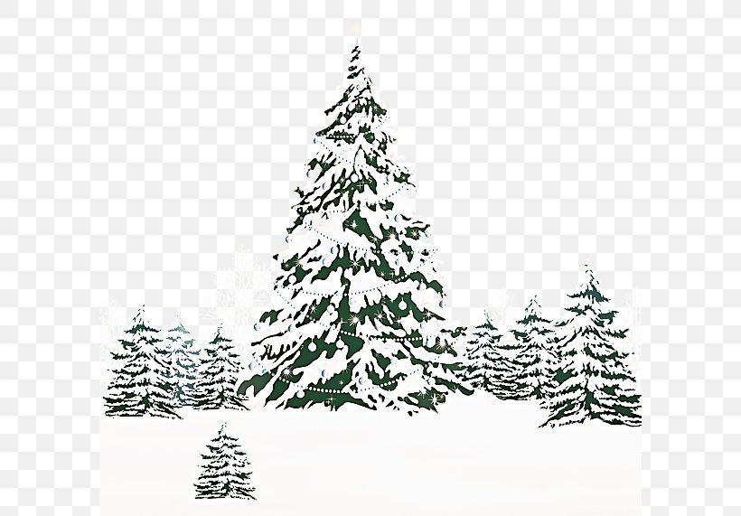 Christmas Black And White, PNG, 600x571px, Christmas Tree, American Larch, Balsam Fir, Biome, Branch Download Free