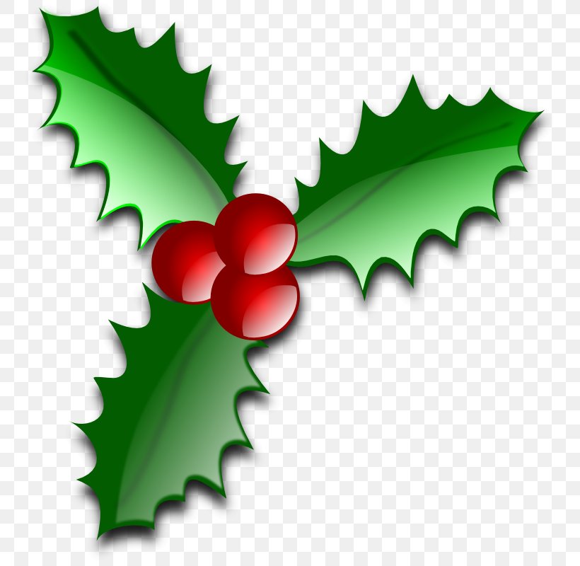 Common Holly Christmas Tree Leaf Clip Art, PNG, 761x800px, Common Holly, Advent Candle, Advent Wreath, Aquifoliaceae, Aquifoliales Download Free