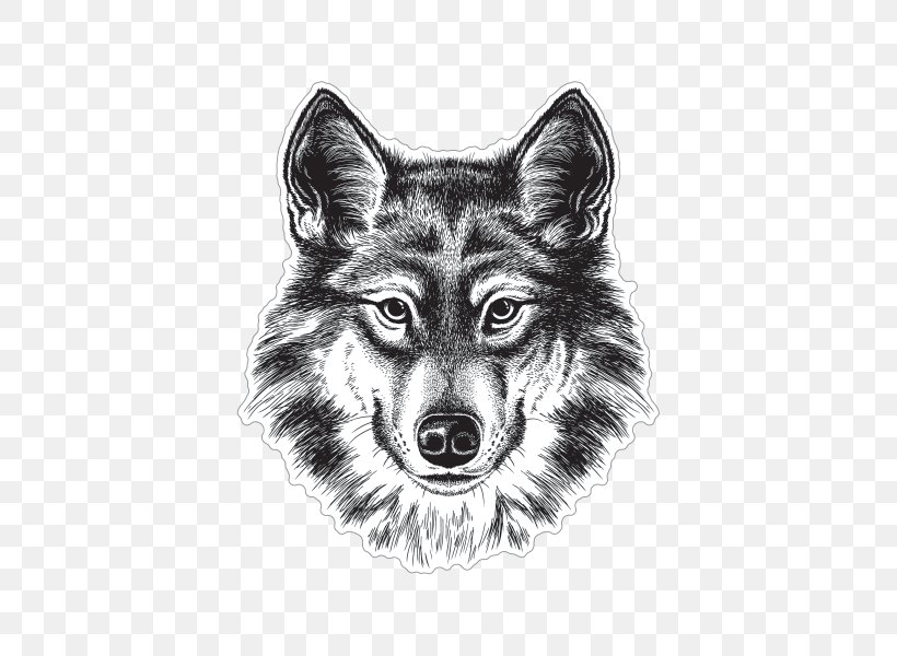 Gray Wolf Siberian Husky Coyote Drawing Sketch, PNG, 600x600px, Gray Wolf, Art, Black And White, Black Wolf, Carnivoran Download Free