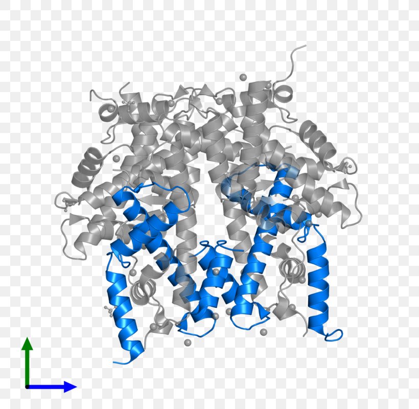 Histone H4 Protein Histone Octamer HIST1H4F, PNG, 800x800px, Histone, Blue, Body Jewellery, Body Jewelry, Gene Download Free