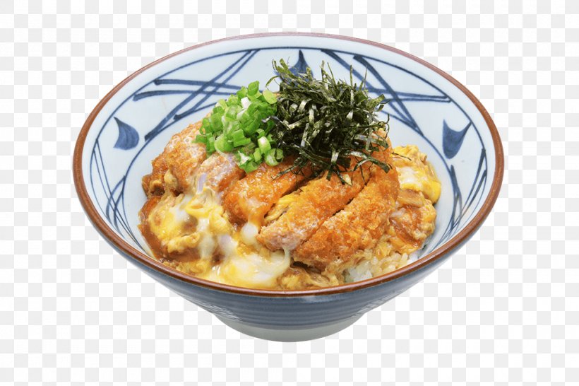 Katsudon Tempura Japanese Cuisine Soba, PNG, 1000x667px, Udon, Asian Food, Cuisine, Curry, Dish Download Free