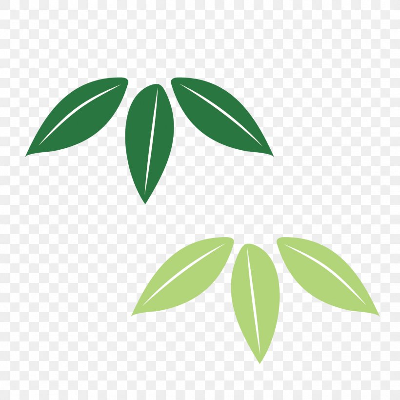 Leaf Plant Stem Font Tree, PNG, 1321x1321px, Leaf, Green, Plant, Plant Stem, Tree Download Free