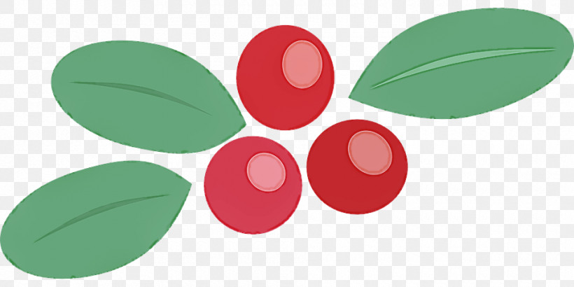 Logo Leaf Green Circle Petal, PNG, 960x480px, Logo, Biology, Circle, Fruit, Green Download Free