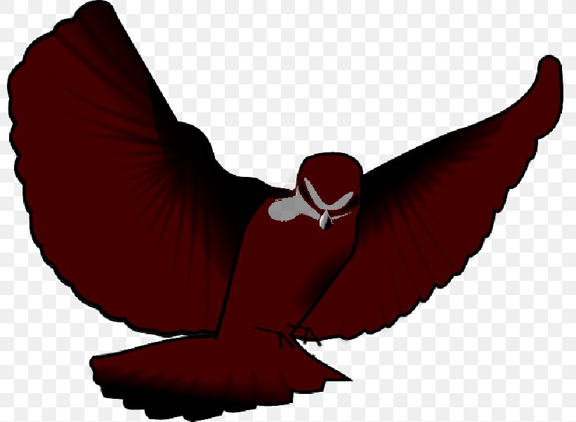 Bird Northern Cardinal Parrot Budgerigar Clip Art, PNG, 800x601px, Bird, Animation, Beak, Budgerigar, Cardinal Download Free