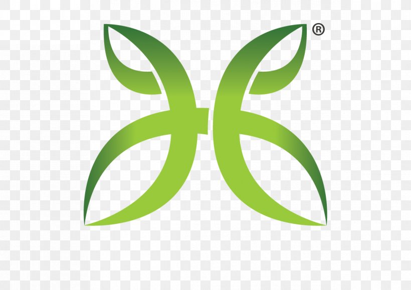 Brand Logo Leaf, PNG, 1191x842px, Brand, Array Data Structure, Customer, Grass, Green Download Free