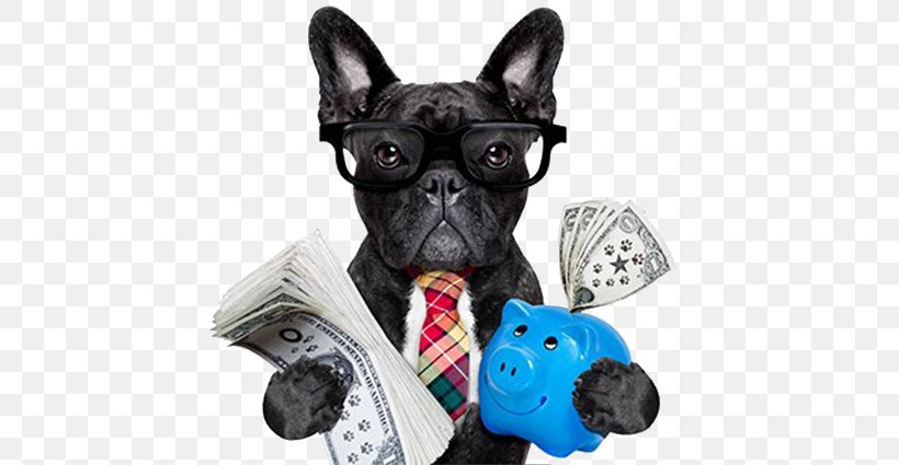 Dog Stock Photography Pet Cat Food Money, PNG, 640x425px, Dog, Bank, Carnivoran, Cat Food, Companion Dog Download Free