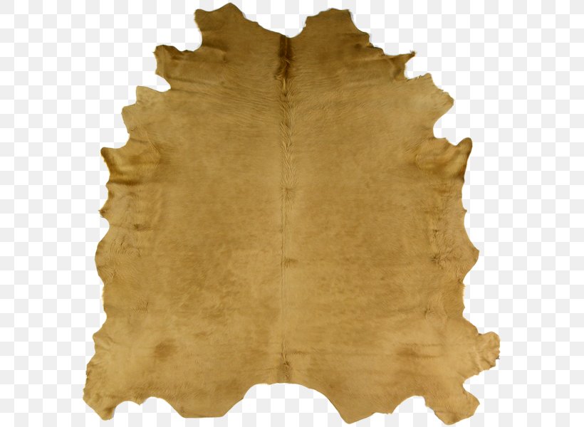 Gold /m/083vt Platinum Kyle Bunting Color, PNG, 593x600px, Gold, Color, Cowhide, Dye, Dyeing Download Free