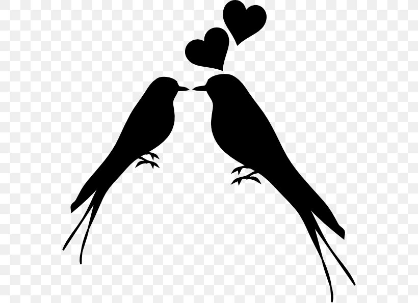 Lovebird Kiss Silhouette Clip Art, PNG, 576x595px, Bird, Animal, Beak, Black And White, Branch Download Free