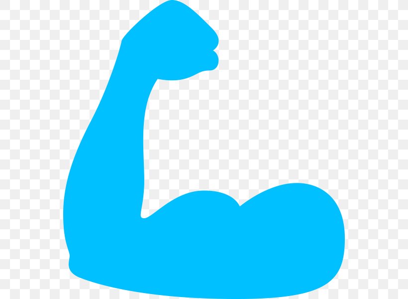 Muscle General Fitness Training Clip Art, PNG, 600x600px, Muscle, Aqua, Area, Azure, Beak Download Free