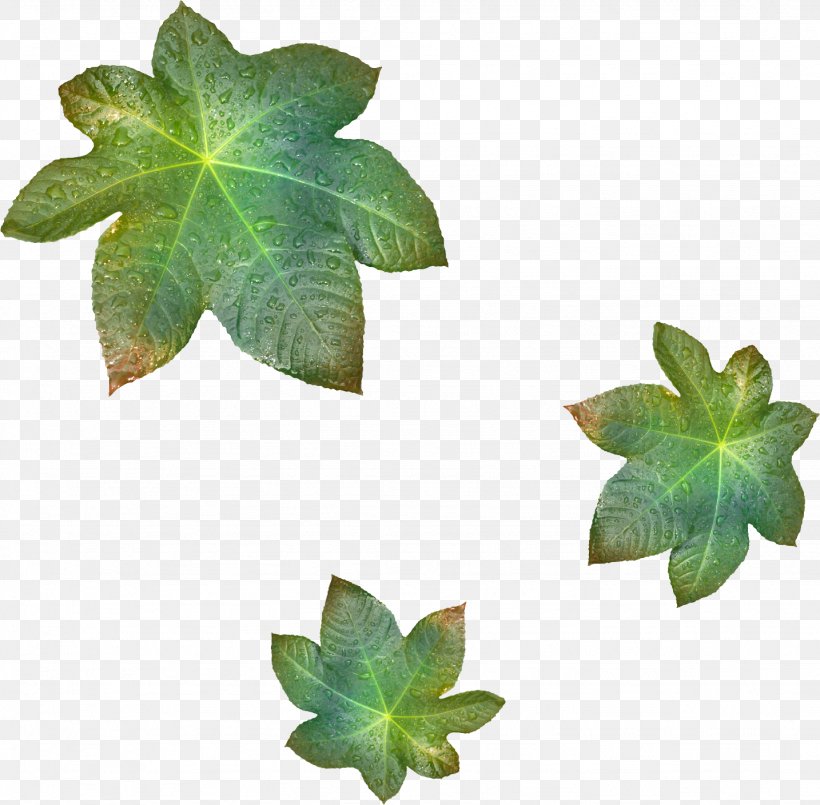 Leaf Branch Tree Clip Art, PNG, 1434x1408px, Leaf, Ash, Branch, Color, Flower Download Free