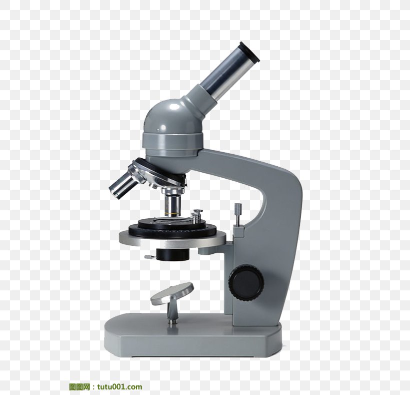 Light Microscope Lens Medicine Therapy, PNG, 560x789px, Microscope, Data, Experiment, Information, Medicine Download Free