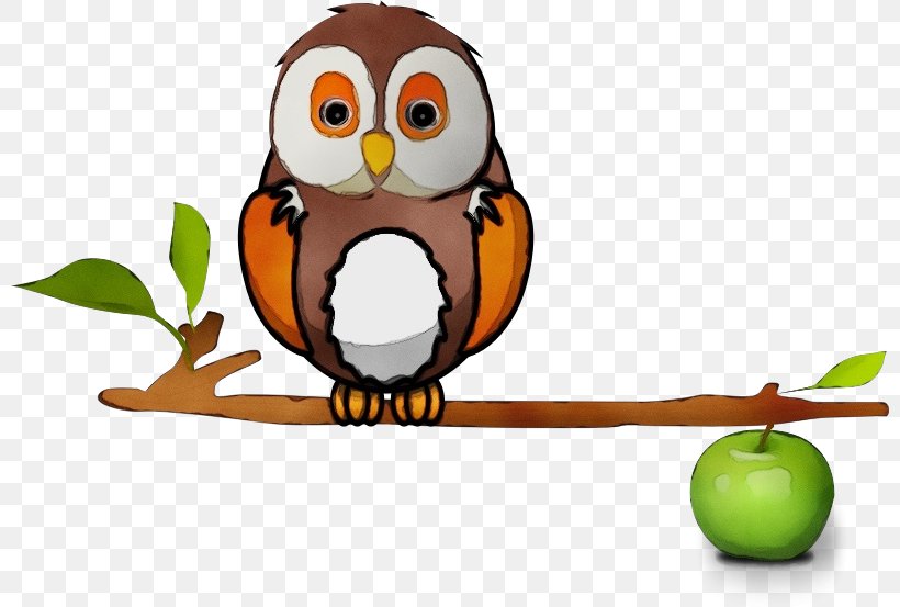 Owl Bird Cartoon Clip Art Branch, PNG, 800x553px, Watercolor, Beak, Bird, Bird Of Prey, Branch Download Free