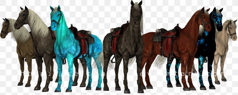 Mustang Stallion Trail Riding Rein Pack Animal, PNG, 1600x640px, Mustang, Animal Figure, Bridle, Camping, Colt Download Free