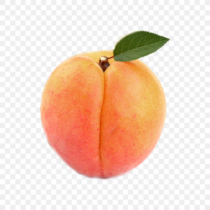 Plum Blossom, PNG, 1773x1773px, Peach, Apple, Apricot, Armenian Plum, Cheong Download Free