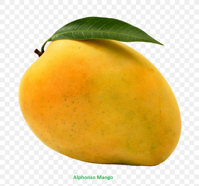 Clip Art Mango Transparency Fruit, PNG, 768x768px, Mango, Alphonso, Citron, Citrus, Diet Food Download Free