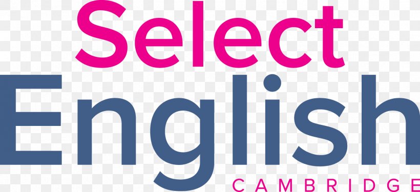 English Grammar Language School Basic English, PNG, 1547x709px, English, Area, Basic English, Brand, Conversation Download Free