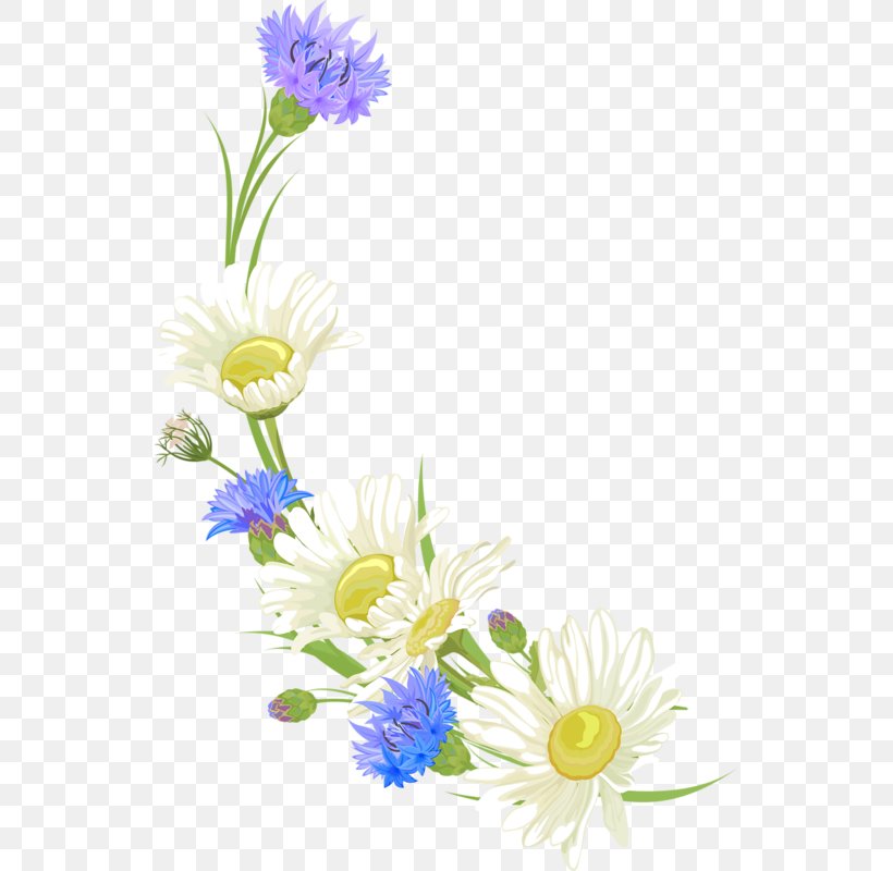 Floral Design Cut Flowers Illustration Chrysanthemum, PNG, 535x800px, Floral Design, Art, Aster, Blume, Chamaemelum Nobile Download Free