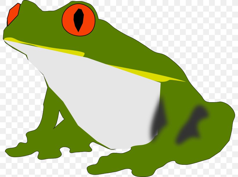 Frog Clip Art, PNG, 800x608px, Frog, Amphibian, Artwork, Beak, Fauna Download Free