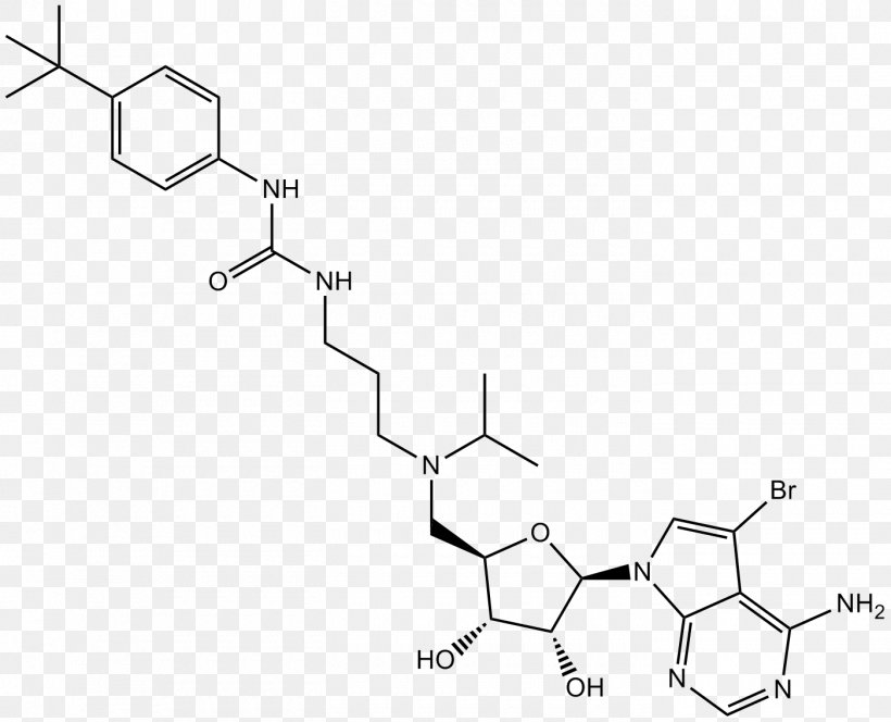 Histone Methyltransferase DOT1L Chromatin, PNG, 1400x1135px, Methyltransferase, Area, Arginine, Auto Part, Black And White Download Free