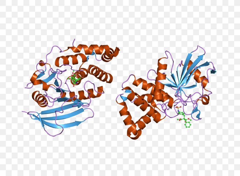 Art Museum PTPRB Protein Phosphatase, PNG, 800x600px, Art, Art Museum, Enzyme, Food, Logo Download Free