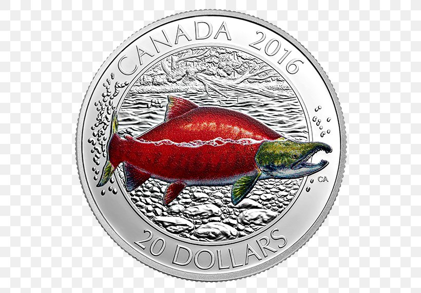 Coin Canada Fish Silver Salmon, PNG, 570x570px, Coin, Atlantic Salmon, Bullion, Canada, Coin Set Download Free