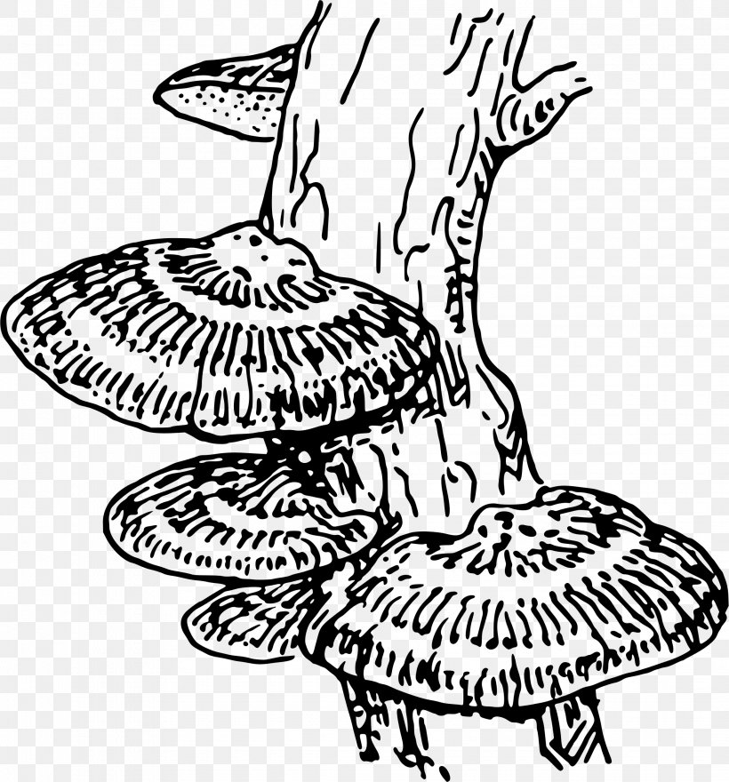 Fungus Mold Coloring Book Clip Art, PNG, 2235x2400px, Fungus, Art, Artwork, Black And White, Coloring Book Download Free