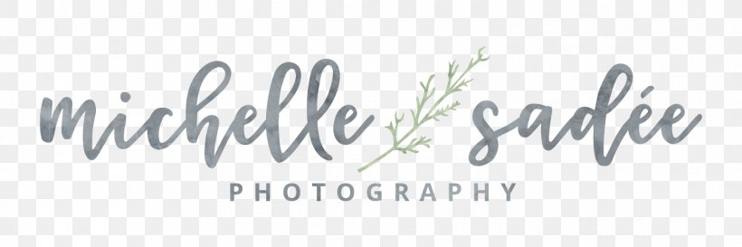 Michelle Sadee Photography Photographer Photographic Studio, PNG, 1500x500px, Photography, Area, Brand, Calligraphy, Child Download Free