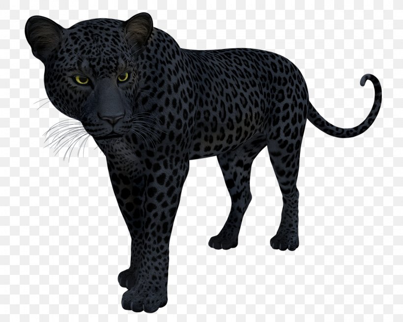 Snow Leopard Black Panther Jaguar Felidae, PNG, 1280x1024px, Leopard, Amur Leopard, Animal Figure, Big Cats, Black Download Free