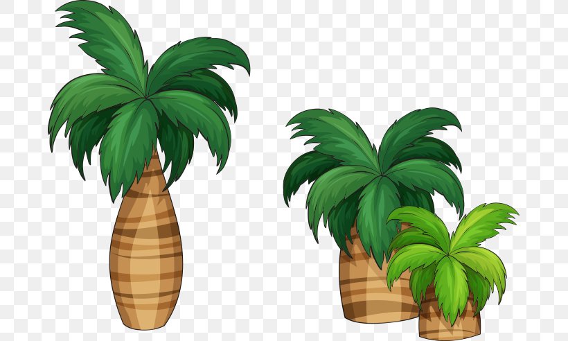 Arecaceae Royalty-free Illustration, PNG, 681x492px, Arecaceae, Arecales, Coconut, Flowerpot, Grass Download Free