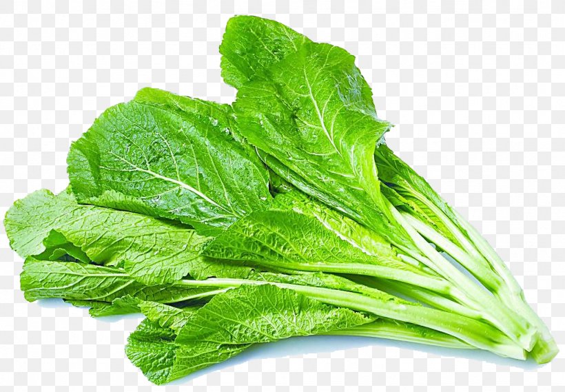 Brassica Juncea Romaine Lettuce Rapini Vegetable, PNG, 1024x711px, Brassica Juncea, Brassica, Chard, Choy Sum, Collard Greens Download Free