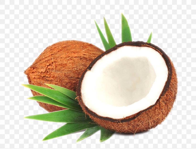 Coconut Milk Coconut Oil Arecaceae Medium-chain Triglyceride, PNG, 1024x777px, Coconut Milk, Arecaceae, Coconut, Coconut Oil, Copra Download Free