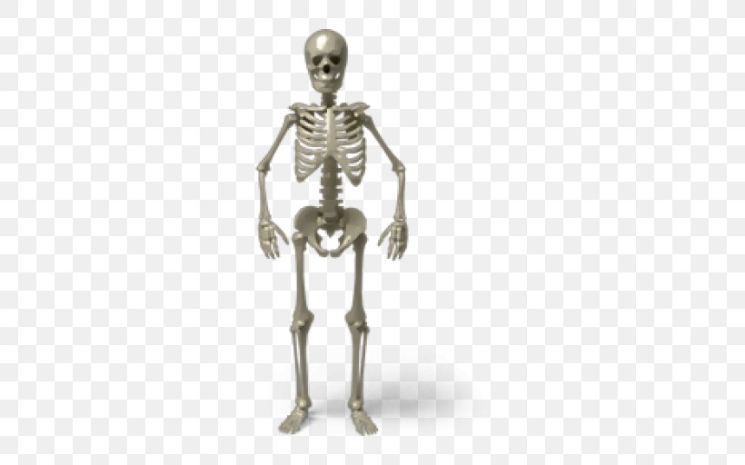 Skull Human Skeleton, PNG, 512x512px, Skull, Bone, Figurine, Human, Human Skeleton Download Free