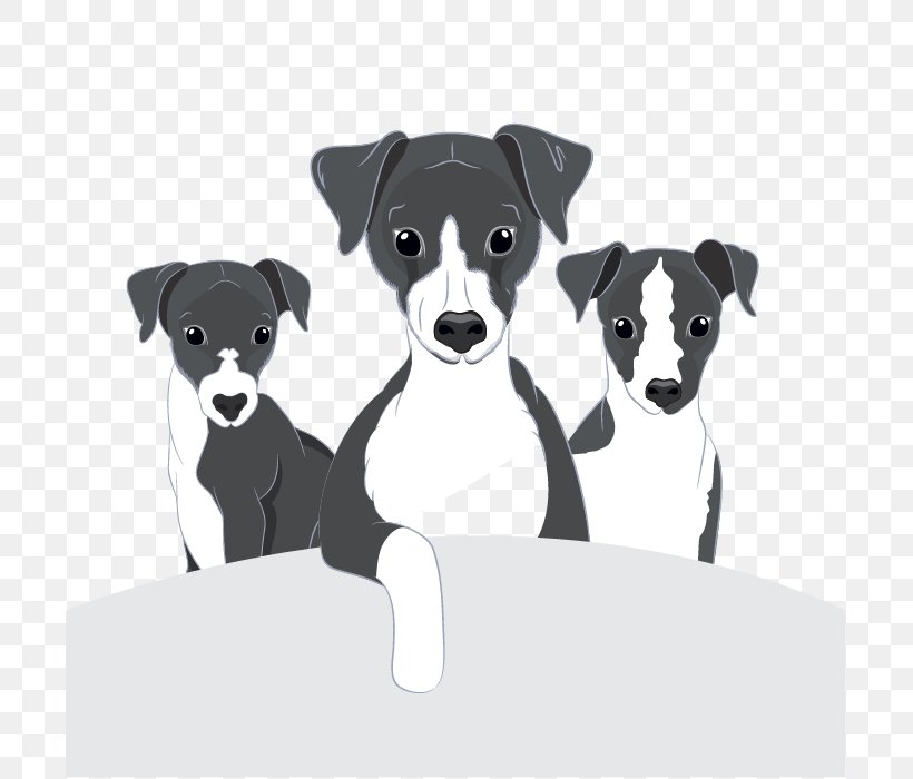 Dog Breed Italian Greyhound Puppy Companion Dog, PNG, 701x700px, Dog Breed, Black, Black And White, Breed, Carnivoran Download Free