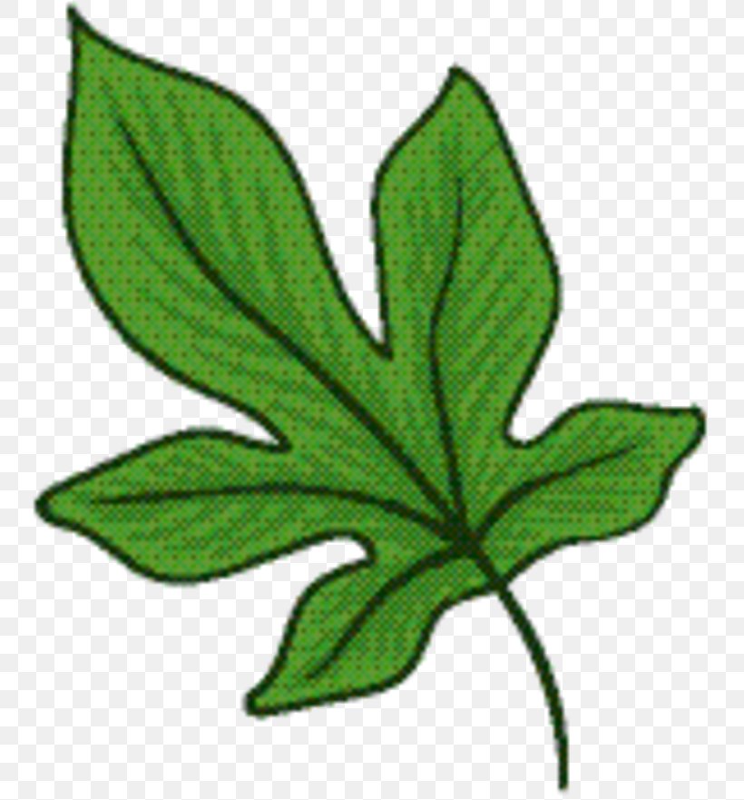 Green Leaf Background, PNG, 759x881px, Leaf, Botany, Flower, Flowering Plant, Green Download Free