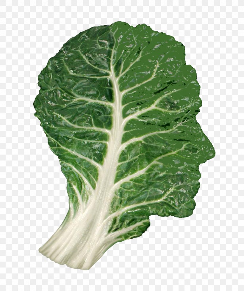 Organic Food Leaf Vegetable Human Head Brain, PNG, 857x1024px, Organic Food, Brain, Cabbage, Chard, Collard Greens Download Free