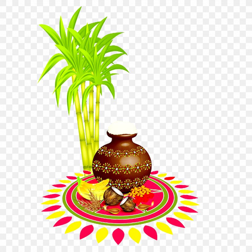 Thai Pongal Makar Sankranti Telugu Language Rangoli, PNG, 2133x2133px, Thai Pongal, Ananas, Flowerpot, Food, Fruit Download Free