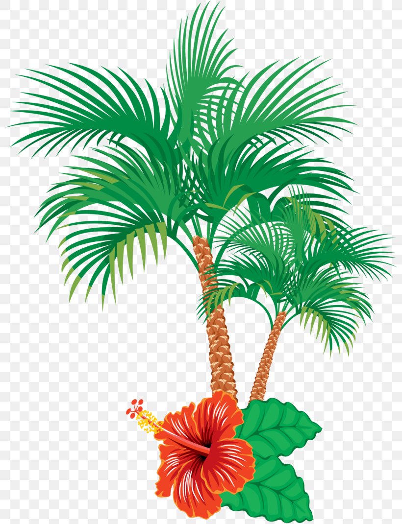 Vector Graphics Illustration Clip Art Palm Trees Image, PNG, 800x1070px, Palm Trees, Arecales, Drawing, Flowering Plant, Flowerpot Download Free