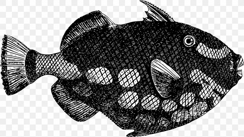 Deep Sea Fish Clip Art, PNG, 2399x1353px, Fish, Black And White, Deep Sea, Deep Sea Fish, Fauna Download Free