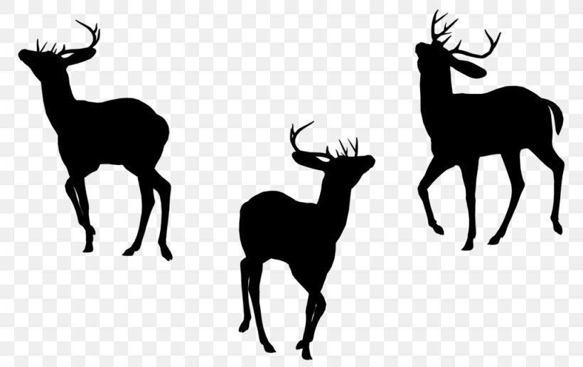 Elk Reindeer Antler Fauna Font, PNG, 1024x645px, Elk, Antelope, Antler, Chamois, Cowgoat Family Download Free