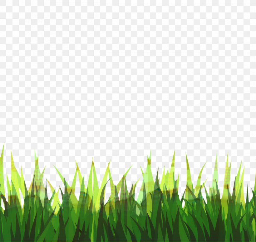 Green Grass Background, PNG, 1300x1232px, Timelapse Photography, Black And White, Fodder, Footage, Grass Download Free