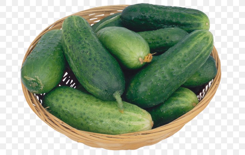 Pickled Cucumber Vegetable Half Sour Pickles Pepo, PNG, 699x519px, Cucumber, Auglis, Berry, Cucumber Gourd And Melon Family, Cucumis Download Free