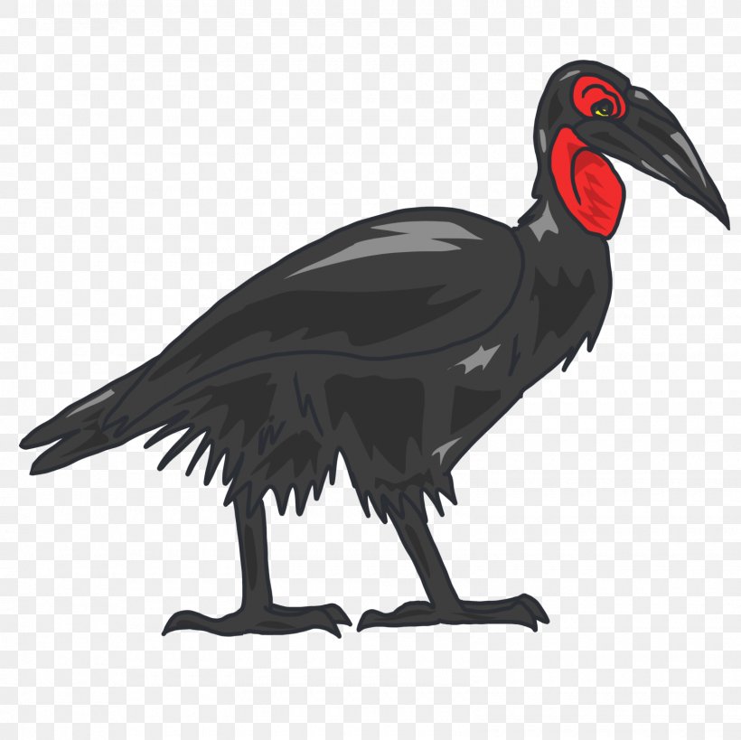 Southern Ground Hornbill Beak Yellow-backed Duiker, PNG, 1600x1600px, Hornbill, Accipitriformes, Andean Condor, Art, Beak Download Free