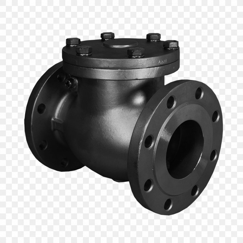 Specification For Steel Globe And Globe Stop And Check Valves (Flanged And Butt-Welding Ends) For The Petroleum, Petrochemical And Allied Industries Stainless Steel Ball Valve, PNG, 1400x1400px, Check Valve, Ball Valve, Butterfly Valve, Control Valves, Flange Download Free