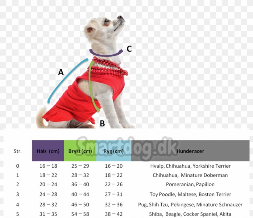 Calendar Leash Brand Font, PNG, 892x768px, Calendar, Brand, Joint, Leash, Text Download Free