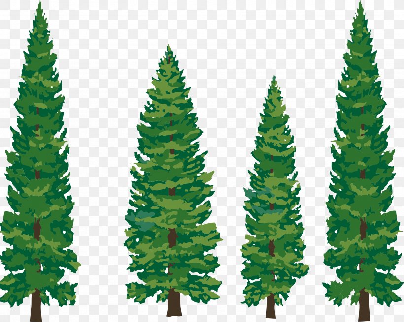 Eastern White Pine Tree Clip Art, PNG, 3333x2663px, Pine, Biome, Blog, Christmas Decoration, Christmas Tree Download Free