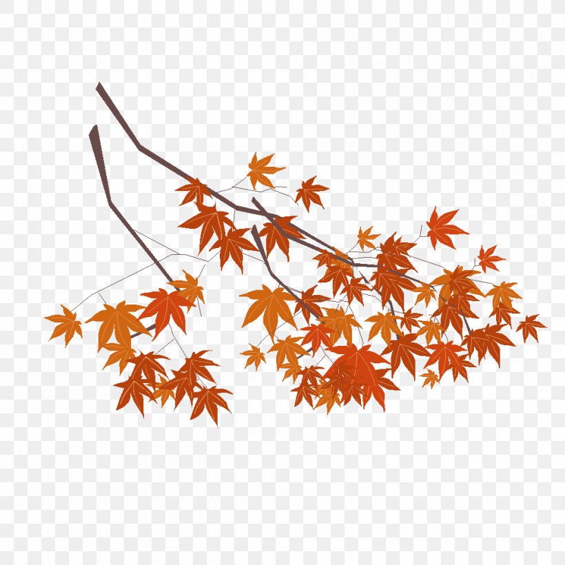 Maple Leaf Drawing History Clip Art, PNG, 1000x1000px, Maple Leaf, Branch, Drawing, English, Flower Download Free